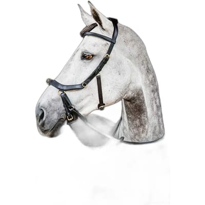 Horseware Inglesa Micklem 2 Multi Hoofdstellen Zwart Cob
