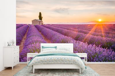 Behang - Fotobehang Lavendel - Zonsondergang - Bloemen - Paars - Breedte 320 cm x hoogte 240 cm