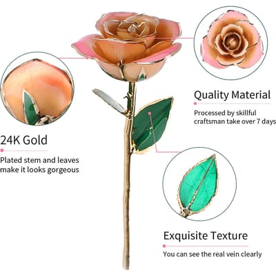 Roze Wit 24k Cadeau Goud Roos Eeuwig Lange Steel Gedipte Roos Handgemaakt Cadeau