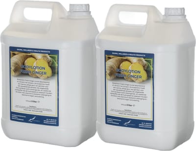 Bodylotion Fresh Ginger 5 Liter - set van 2 stuks - navulling - Voordeelverpakking