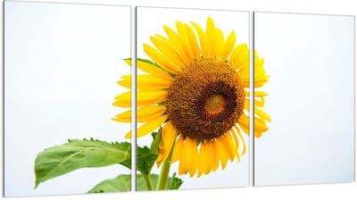 TMK ArtDeko Serie - Snijplank - Glas - 30x52 cm - Beschermend