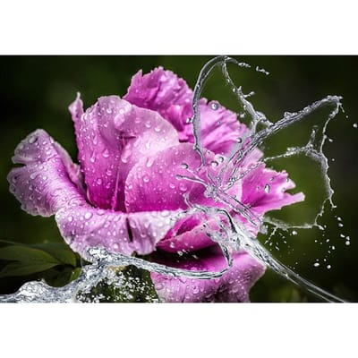 5D DIY Diamond schilderij bloem en water vlinder borduurwerk mozaïek kruissteek strass decor 20X30CM purple