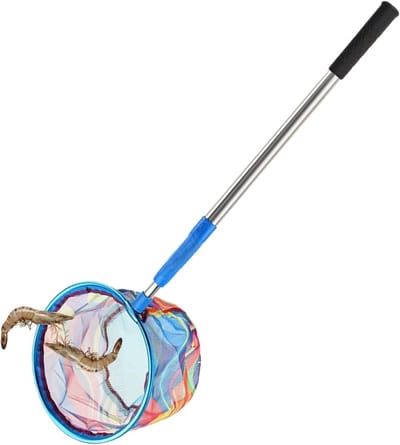 Uittrekbaar Strandnet - Kikkernet Vangnet - Zomerse Outdoor Activiteiten - Antislip Handgreep - Tot 170cm Lengte - Blauw