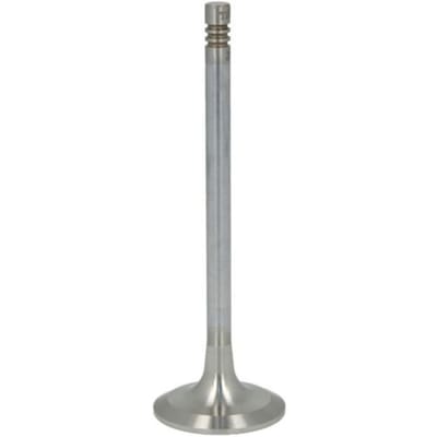 Inlaatklep TRW 22162