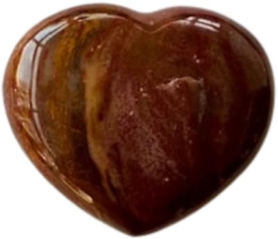 Versteend hout - edelsteen hart - hout element, aarding