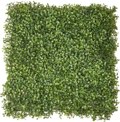 Emerald - Kunst Plantenwand Buxus UV 50x50cm - Kunstplant voor binnen