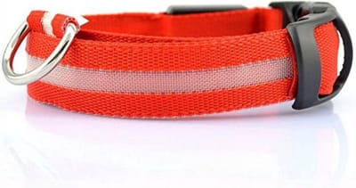 CHPN - LED-Halsband - Honden halsband - Halsband - Rood - M - Medium - Oplaadbare halsband - Collar - Zichtbaar in het donker - Veilig de hond uitlaten - (40-48 cm