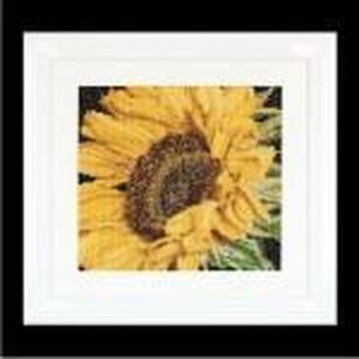 Thea Gouverneur - Borduurpakket met telpatroon - 488A - Voorgesorteerde DMC Garens - Zonnebloem - Aida - 15 cm x 14 cm - DIY Kit