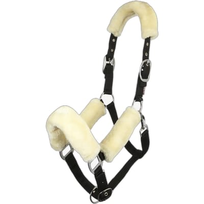 Halster voor paarden LeMieux Comfort