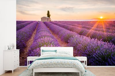 Behang - Fotobehang Lavendel - Zonsondergang - Bloemen - Paars - Breedte 600 cm x hoogte 400 cm