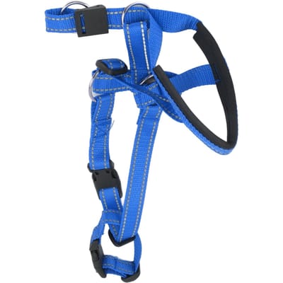 Collier de tête pour chien Harnais de tête pour chien respirant Couvre-bouche pour chien avec sangle réglable pour l'extérieur L bleu