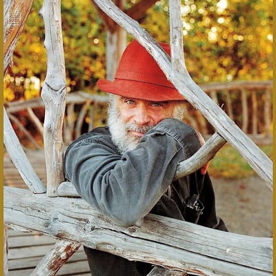 Daniel Higgs - The Fools Sermon, Part 1 (2 LP)