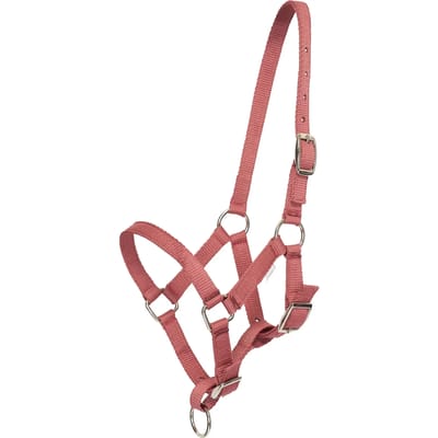 Halster voor paarden HV Polo Nena