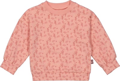 4PRESIDENT Sweater meisjes - Toucan AOP - Maat 56 - Meisjes trui