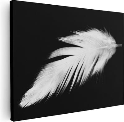 Artaza Canvas Schilderij Veer - 40x30 cm - Klein - Muurdecoratie Stilleven - Wanddecoratie Minimalistisch - Schilderijen Op Canvas