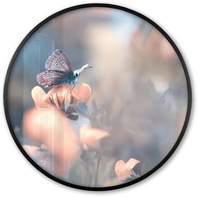 Poster in lijst Rond - Fotolijst 60x60 cm - Posters - Bloemen - Vlinder - Natuur - Botanisch - Ronde posterlijst zwart - Decoratie - Wanddecoratie woonkamer - Muurdecoratie slaapkamer