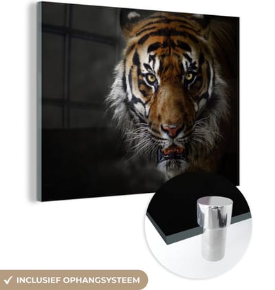 MuchoWow® Glasschilderij 40x30 cm - Schilderij acrylglas - Tijger - Dier - Roofdieren - Foto op glas - Schilderijen