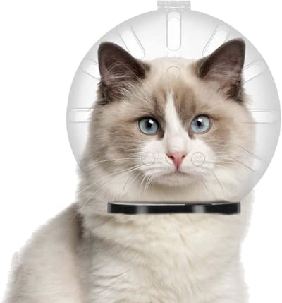 Katten muilkorf - Mondkap kat Ademend masker - Huisdier verzorging - Astronaut design - Maat L - Transparant