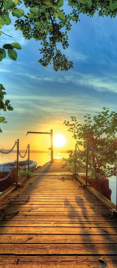 Path Pier Trees Boats Sunset  Photo Wallcovering