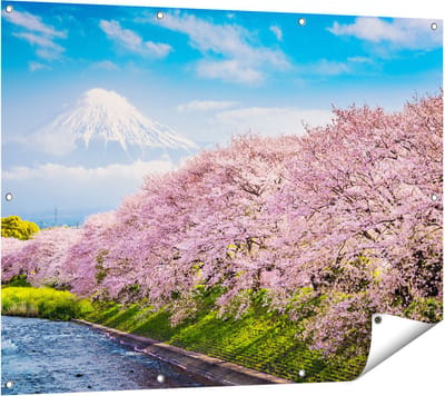 Gards Tuinposter Roze Bloesembomen bij de Fuji Berg - 120x90 cm - Tuindoek - Tuindecoratie - Wanddecoratie buiten - Tuinschilderij