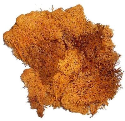 Decoratie nep mos - 3x zakjes - oranje - 50 gram - Hobby/knutselen - herfst/kerst thema decoreren - nature