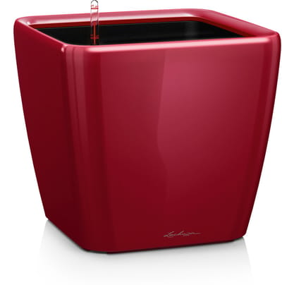 LECHUZA QUADRO Premium LS 28 - Plantenbak - met uitneembare binnenbak - met bewateringssysteem - ALL-IN-ONE set met LECHUZA-PON - scharlakenrood hoogglans