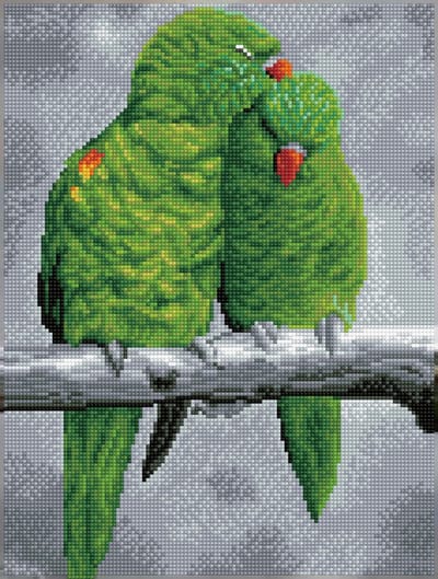 Full Diamond Painting Volwassenen Met Lijst/Frame - Hobby - Volledig Pakket - Vierkante Steentjes - DQK8.011 Diamond Dotz® - Groene verliefde papegaaien 41 x 31cm