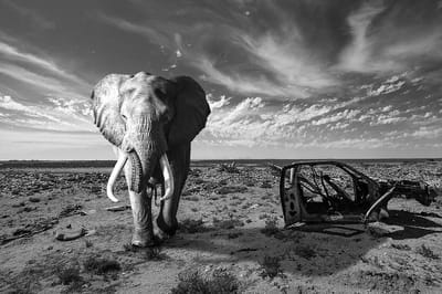 Lonely roads – 90cm x 60cm - Fotokunst op PlexiglasⓇ incl. certificaat & garantie.