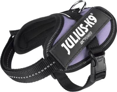 Julius-K9 IDC®Powertuig, 2XS - Baby2, paars