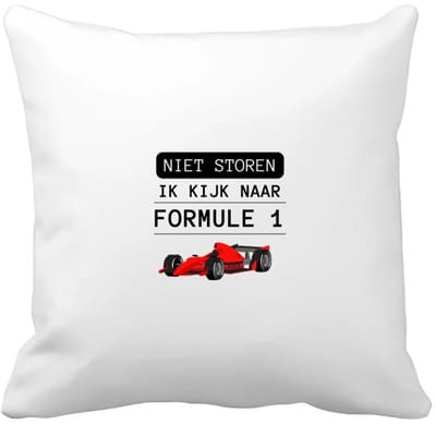 Akyol - niet storen ik kijk naar formule 1 Kussen hoes - Formule 1 - mensen die houden van f1 - quotes - verjaardagscadeau - verjaardag - cadeau - kado - geschenk - gift - 40 bij 40 cm