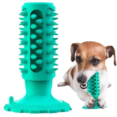 Jouet à mâcher pour chien, brosse à dents pour bouledogue français, nettoyage des dents de chiot, bâton de broyage des dents, jouet en os