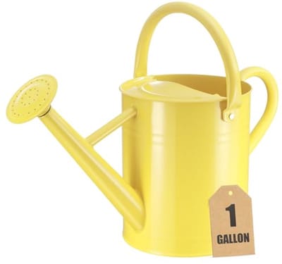 Metalen Gieter voor Buiten- en Kamerplanten - 3,8 Liter Capaciteit Waterkan