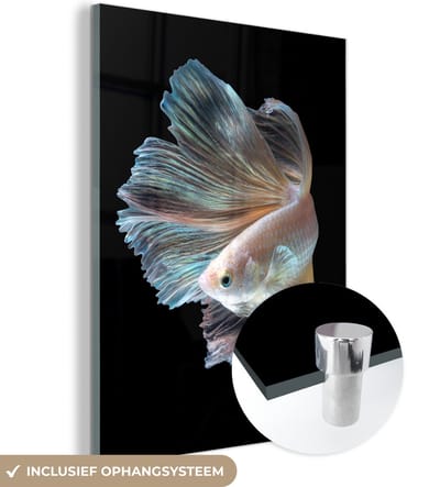 MuchoWow® Glasschilderij 120x160 cm - Schilderij acrylglas - Vis - Staart - Zwart - Foto op glas - Schilderijen