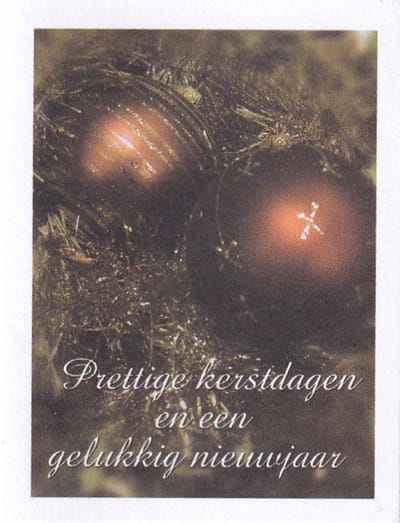 Bloemenkaartjes - 25 Stuks - Mini Kerstkaartjes - 5 x 6.5 cm - Bloemist - Kerstmis - Kadootjes - JK-489