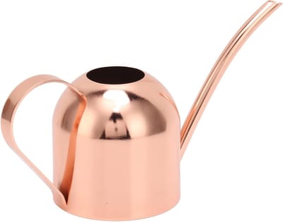 Gieter Roestvrijstaal - Waterkan Planten - Planten Water Geven - Grote Capaciteit - 1 Gallon - Roségoud