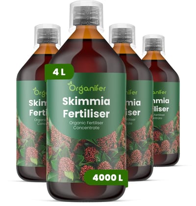 Vloeibare Meststof Voor Skimmia 4X1 L Voor 4000 L - Npk 3-4-3 - Ondersteunt Een Evenwichtige Groei - Bevordert Glanzend, Wintergroen Blad En Een Plantstructuur - Stimuleert Een Betrouwbare Bloei En De Ontwikkeling Van Decoratieve Bessen - Organifer