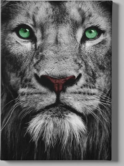 Canvas Schilderij - Wilde Dieren - Leeuw - Grijs - 60x40 cm