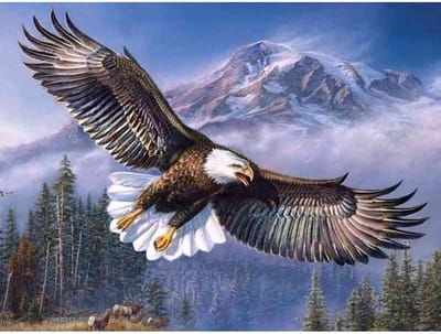 Diamond painting - Amerikaanse zeearend - Geproduceerd in Nederland - 60 x 90 cm - dibond materiaal - vierkante steentjes - Binnen 2-3 werkdagen in huis