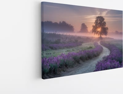 Saammp Canvas Schilderij - Lavendelveld met mist - Natuur - Landschap - 45x30 - Foto op canvas - Wanddecoratie - Muurdecoratie Woonkamer - Slaapkamer decoratie - Canvas Print