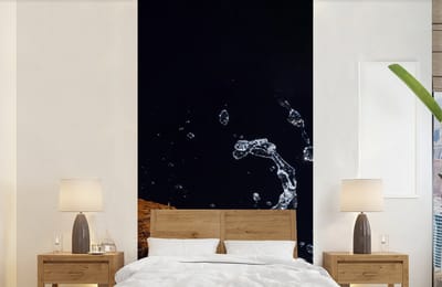 Behang - Fotobehang Kokosnoot - Stilleven - Water - Zwart - Fruit - Breedte 120 cm x hoogte 240 cm