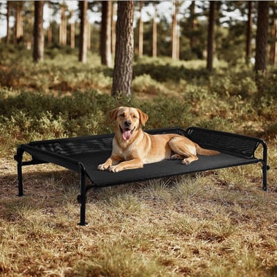 Verhoogd Hondenbed - Koelbed Hond - Buiten Ontspannen - Driezijdige Vangrail - 124 x 77 cm - Zwart