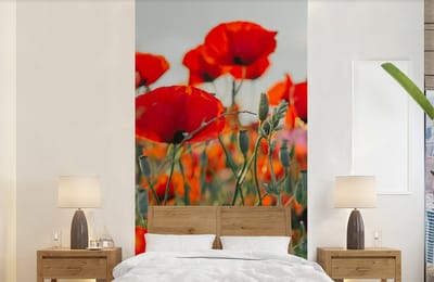 Behang - Fotobehang Klaproos - Bloemen - Rood - Paars - Weide - Breedte 120 cm x hoogte 240 cm