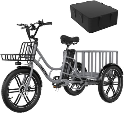 ELEKGO Elektrische Driewieler EGO 03S - 20*3.0 Inch Fat Tire City Commuter EBike met Afneembare 48V 18 Ah Lithium Batterij - Bakfiets E-Bike met 250W Motor - IP54 Waterdicht