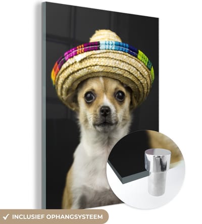 MuchoWow® Glasschilderij 120x160 cm - Schilderij acrylglas - Hond - Sombrero - Zwart - Foto op glas - Schilderijen