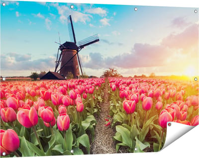 Gards Tuinposter Roze Tulpen Bloemenveld - met Windmolen - 120x80 cm - Tuindoek - Tuindecoratie - Wanddecoratie buiten - Tuinschilderij