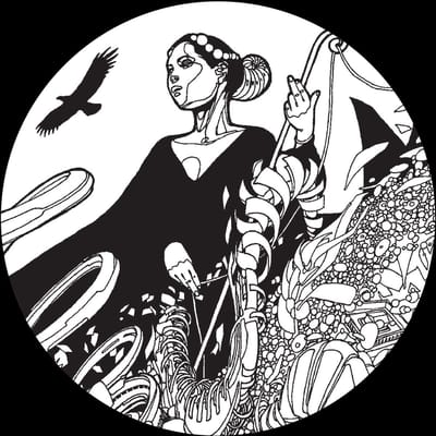 Fhloston Paradigm - Cosmosis Vol. 1 (12" Single)