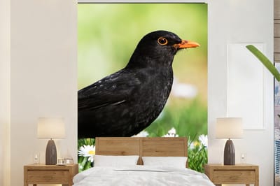 Behang - Fotobehang Vogel - Merel - Bloemen - Breedte 200 cm x hoogte 300 cm