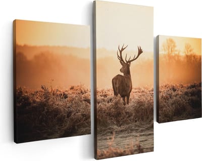 Artaza Canvas Schilderij Drieluik Hert In De Wei Tijdens De Zonsopkomst - 90x60 - Foto Op Canvas - Canvas Print