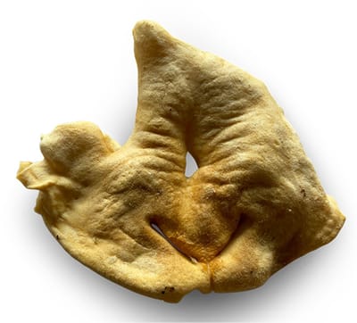Lamsneus 50 stuks Natuurlijke hondensnack