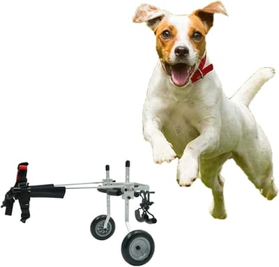 Verstelbare wandelwagen voor kleine moederhonden, hondenrolstoel met 2 wielen voor teckels, Easy Sto, lichtgewicht hondenwagen voor ondersteuning van de rug (Maat S)